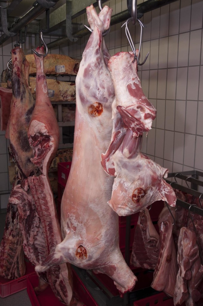 Lamm im Schlachthaus