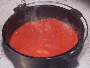 Pulled Chicken Tomatensoße angegossen