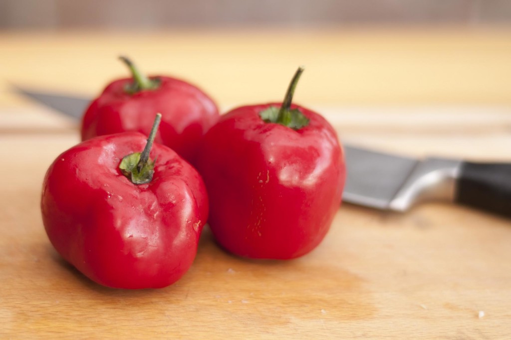 Redmountain-BBQ Rocoto Chilis roh