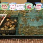 Redmountain BBQ Erkelenz Redmountain BBQ goes China Meeresfrüchte 21.02.2017.JPG