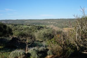 Redmountain BBQ Erkelenz Ankervormalle Das Ankerkraut Treffen Finca Toni Wanderung