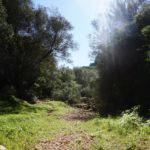 Redmountain BBQ Erkelenz Ankervormalle Das Ankerkraut Treffen Finca Toni Wanderung Wald