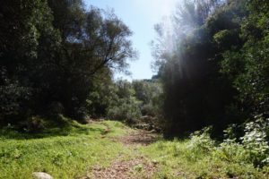 Redmountain BBQ Erkelenz Ankervormalle Das Ankerkraut Treffen Finca Toni Wanderung Wald